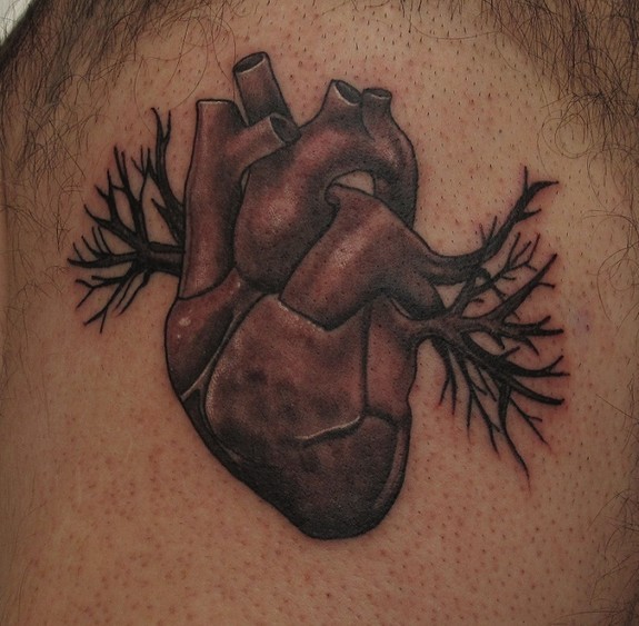 Robert Hendrickson - Anatomical heart with thorns 